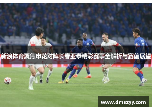 新浪体育聚焦申花对阵长春亚泰精彩赛事全解析与赛前展望