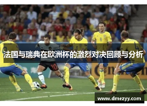 法国与瑞典在欧洲杯的激烈对决回顾与分析